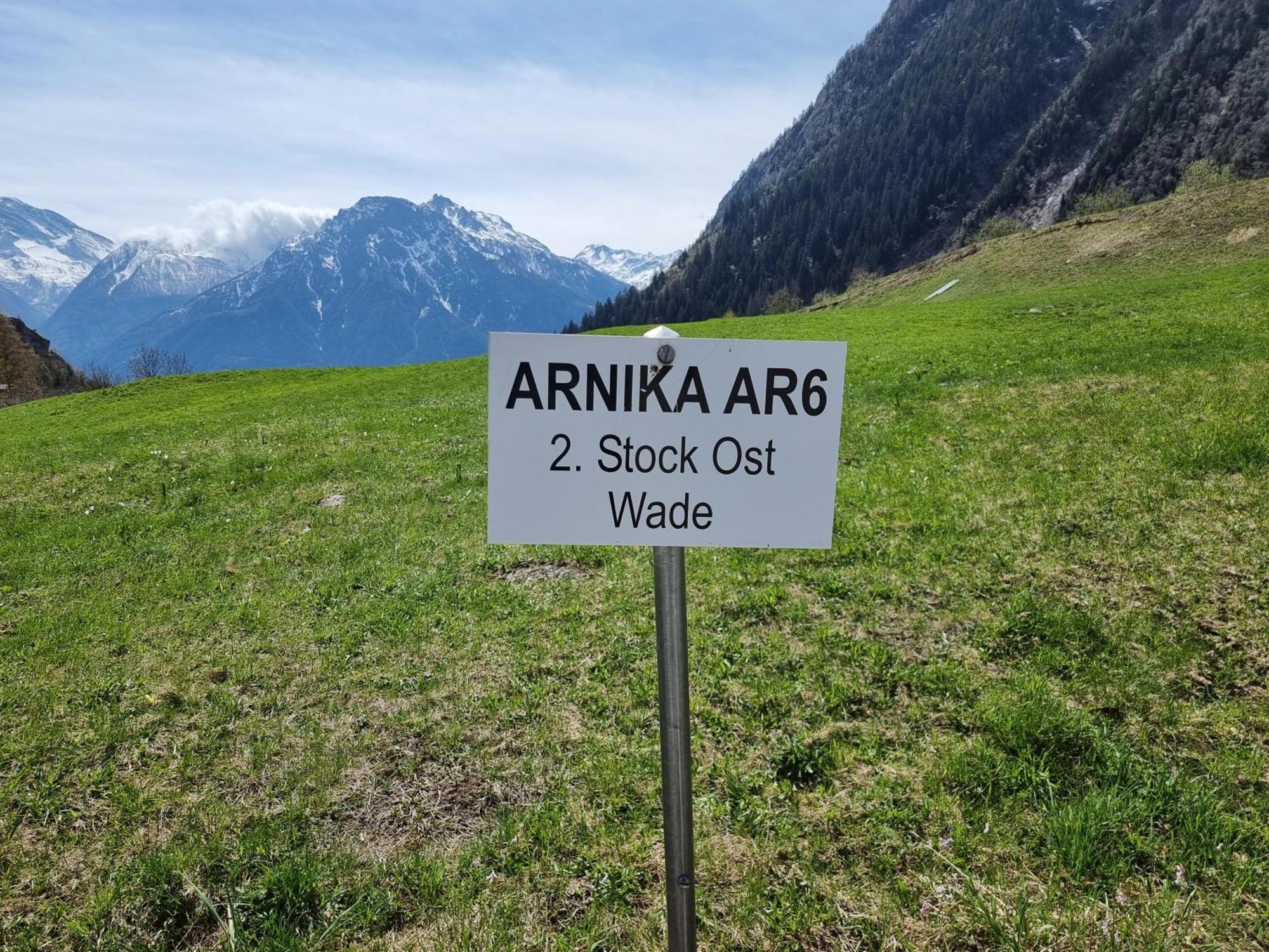 Arnika Appartement Blatten bei Naters Kamer foto