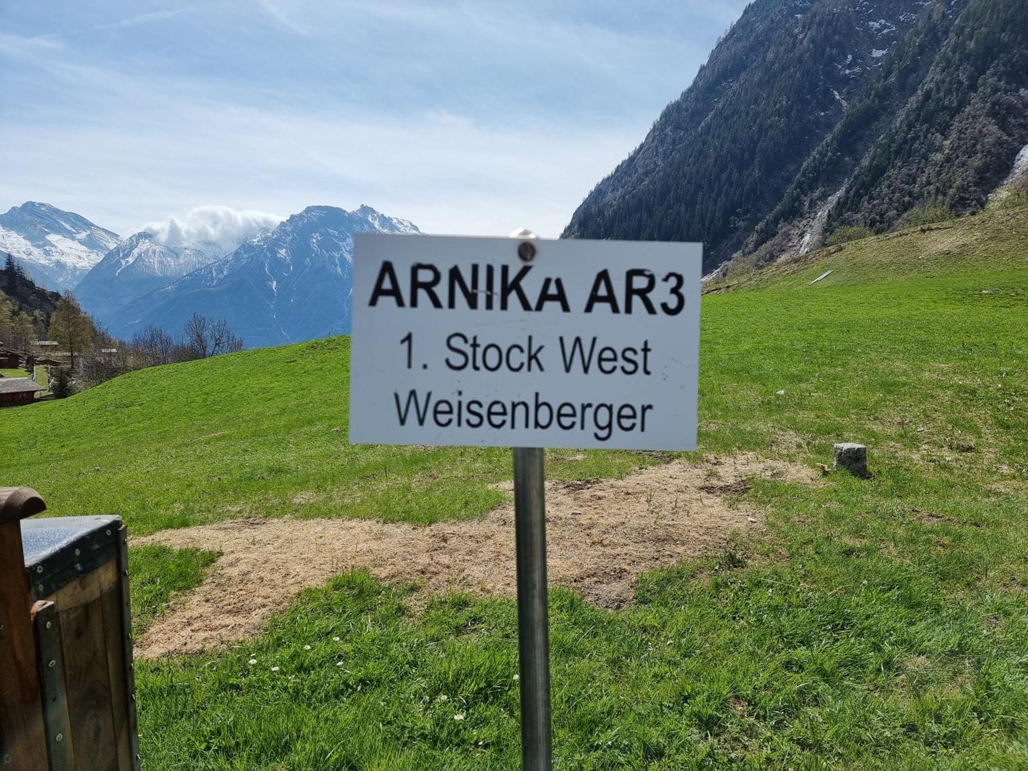 Arnika Appartement Blatten bei Naters Kamer foto